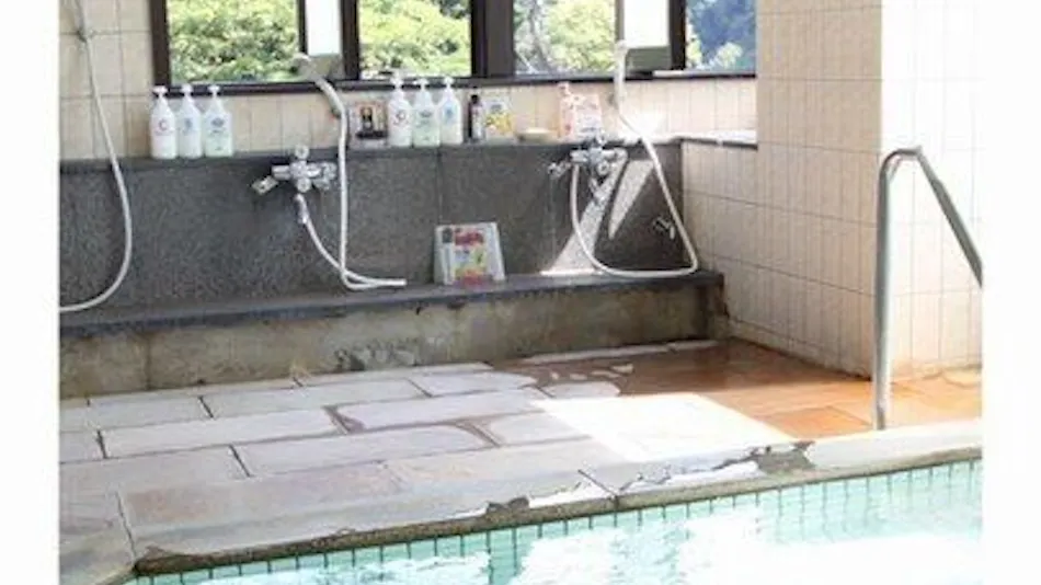 Shibu Onsen Oyado Sumino-yu
