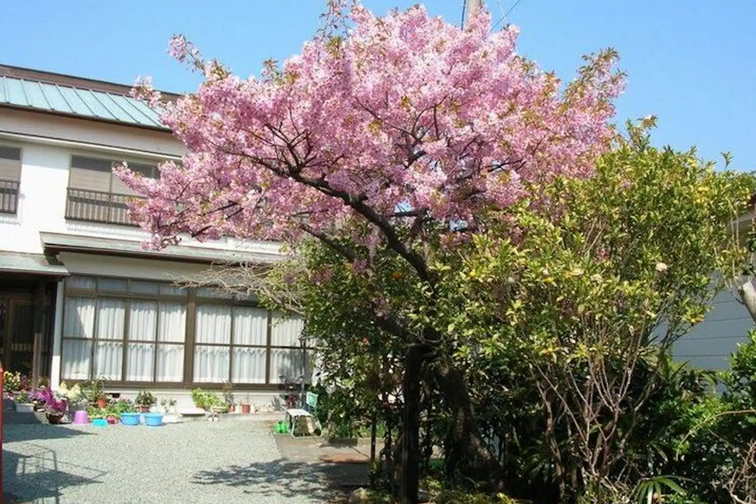 施設画像