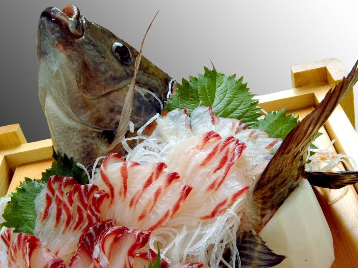 ปลามาชูไทสดใหม่จากการเลี้ยงเอง