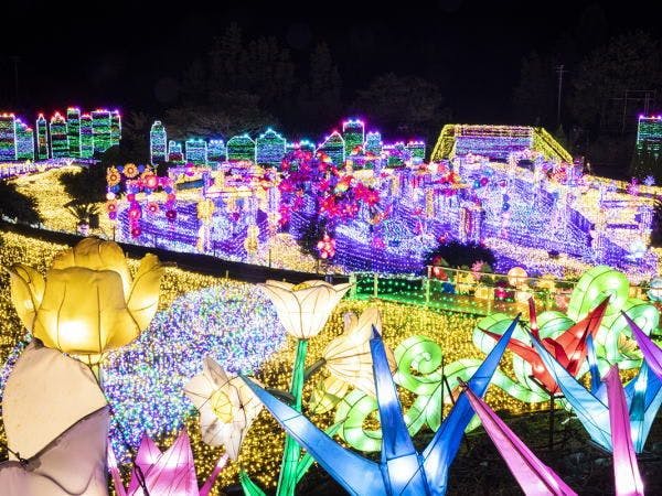 이즈 고원 그랜드 일루미네이션 ※이미지