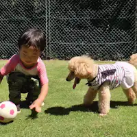 시설: 넓은 도그런