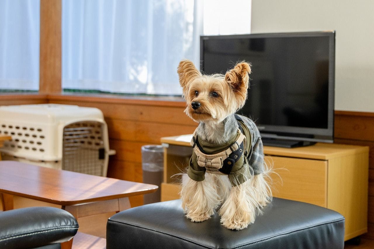 Premium Cottage Hanare Rnessa Akazawa