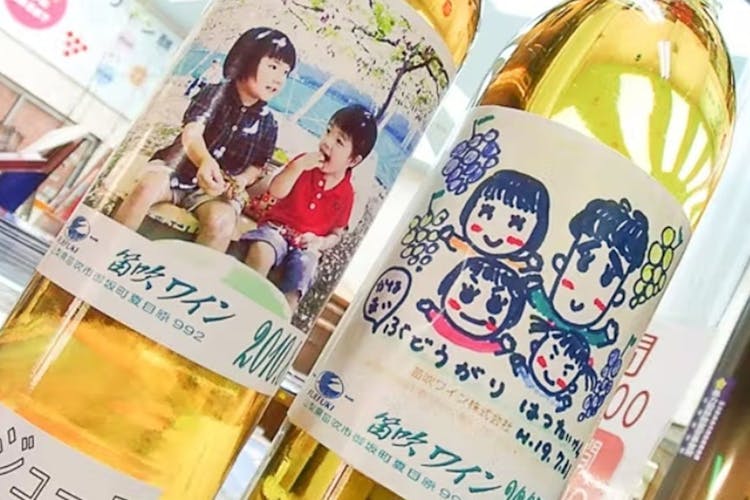 1voxfjtkwfawnm 1voxfjtkwfawnm