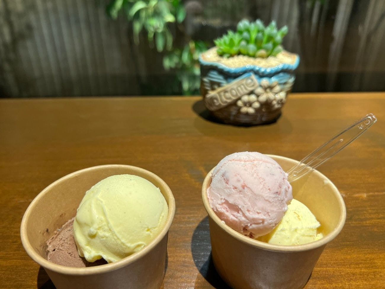 Villa Hanasuisho