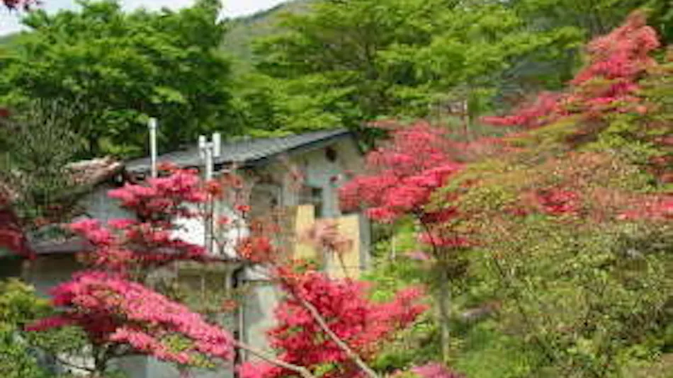 Sato no Yado Chiharu