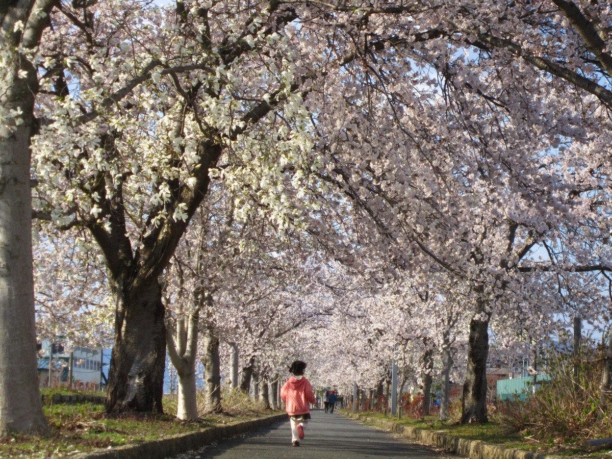 ■ท่องเที่ยว: เส้นทางสีเขียวมะโฮโรบะ (เดินประมาณ 2 นาที)