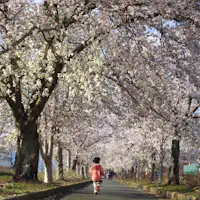 ■ท่องเที่ยว: เส้นทางสีเขียวมะโฮโรบะ (เดินประมาณ 2 นาที)