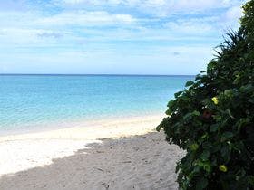 Ｓｅａ　Ｂｒｅｅｚｅ
