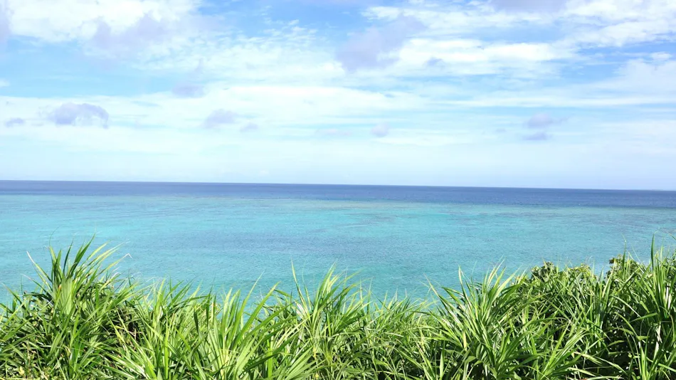 Sea Breeze