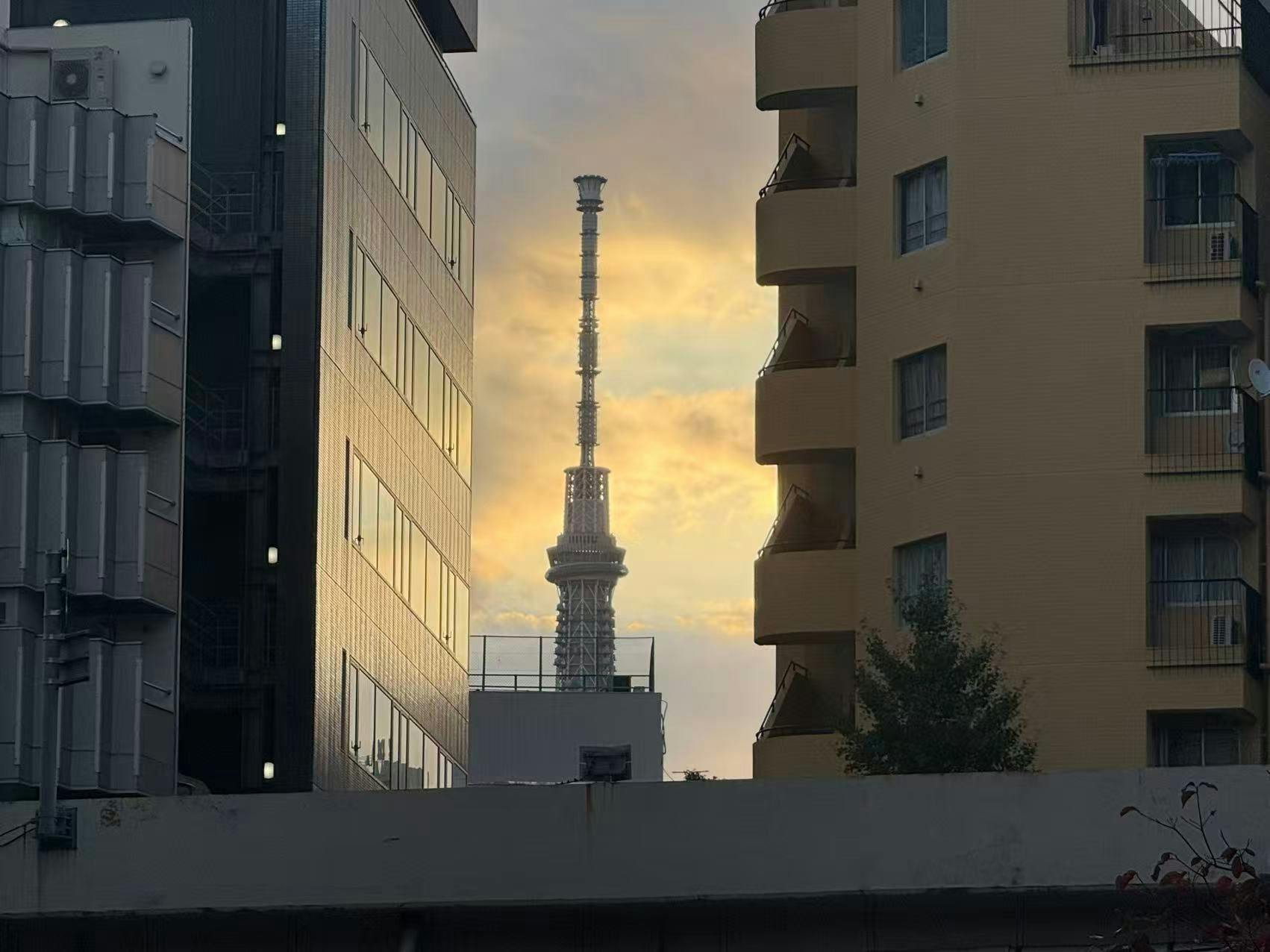 Hotel Comfact