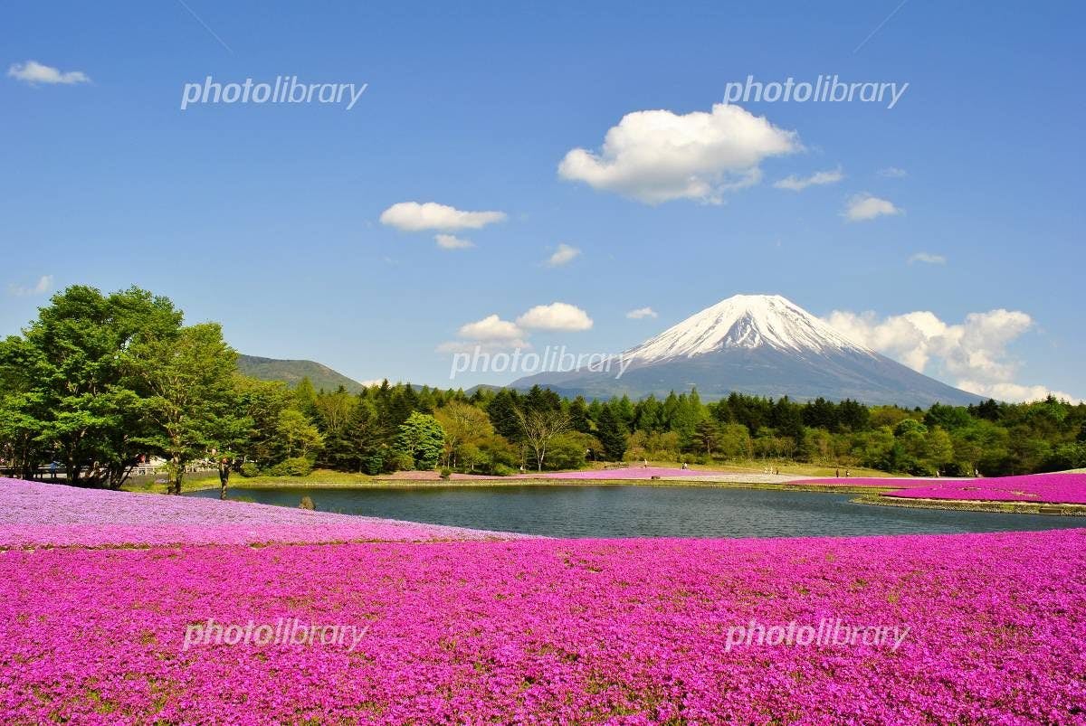 Mount Fuji Resort Hotel