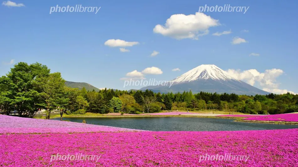 Mount Fuji Resort Hotel