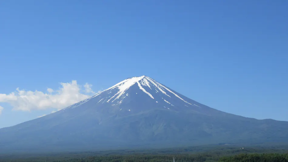 Mount Fuji Resort Hotel