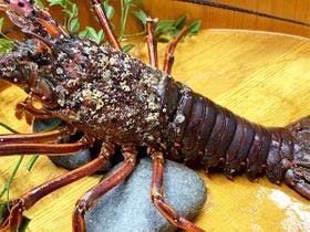 ニューはまぐち屋旅館