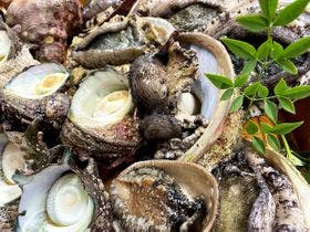 ニューはまぐち屋旅館