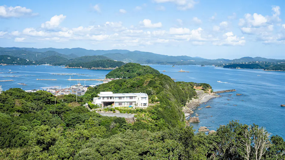 New Hamaguchiya Ryokan