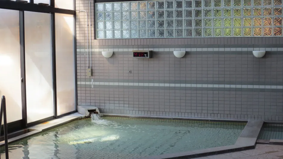 Tsunagi Onsen Seionsou