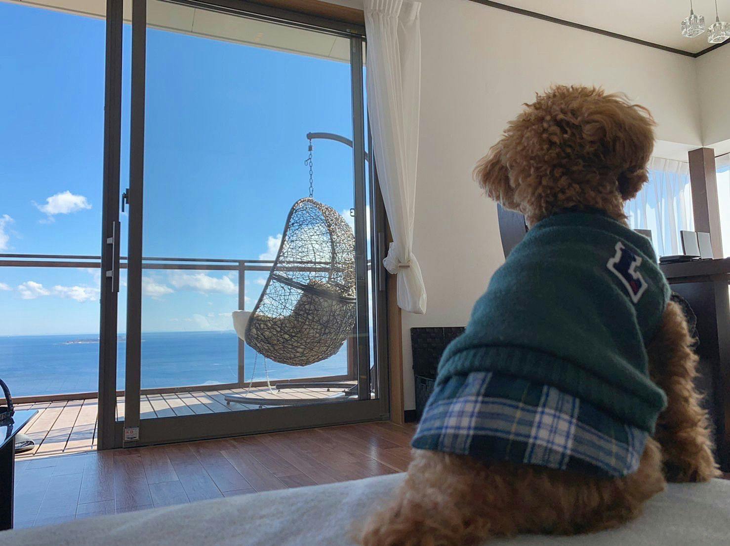 Umiiro Terrace Atami