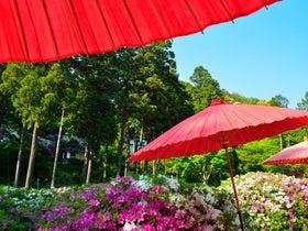 ホテルトレンドＪＲ宇治駅前