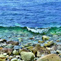 아름다운 바다를 즐기세요♪