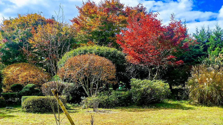 Saino Village "Momiji"
