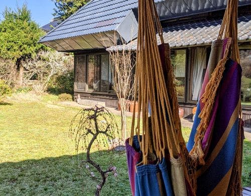 併設のログハウスからの眺め