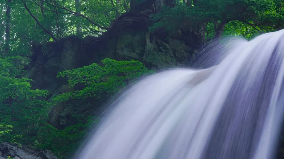 Shiga Kogen Ishi no Yu Onsen Ishi no Yu Lodge