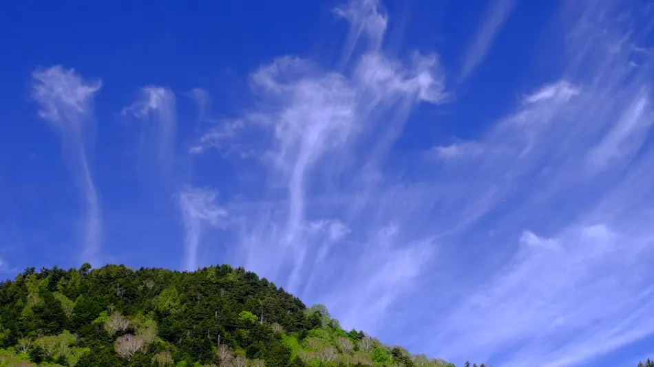 Shiga Kogen Ishi no Yu Onsen Ishi no Yu Lodge