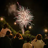 ดอกไม้ไฟที่ประดับประดาท้องฟ้ายามค่ำคืนในฤดูร้อน!