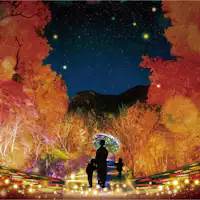 Miraculous Illumination