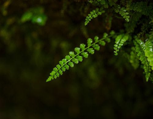 *温泉 露天風呂