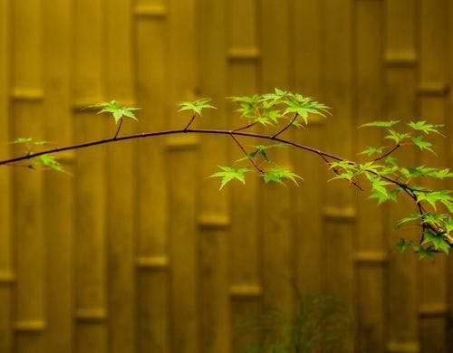 *温泉 露天風呂