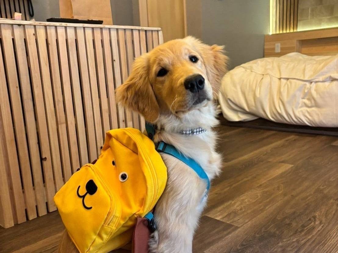 Tsuki no Rikyuu Mino