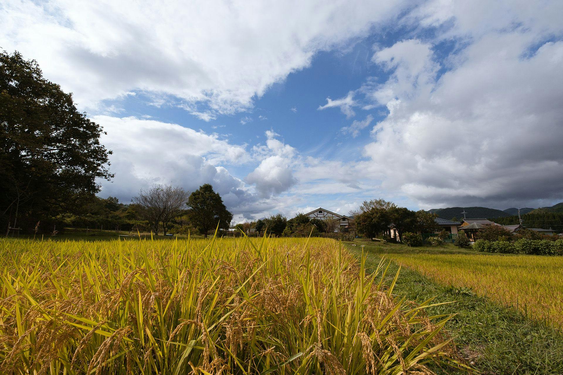Kyoto Tanba Villa Ashitani