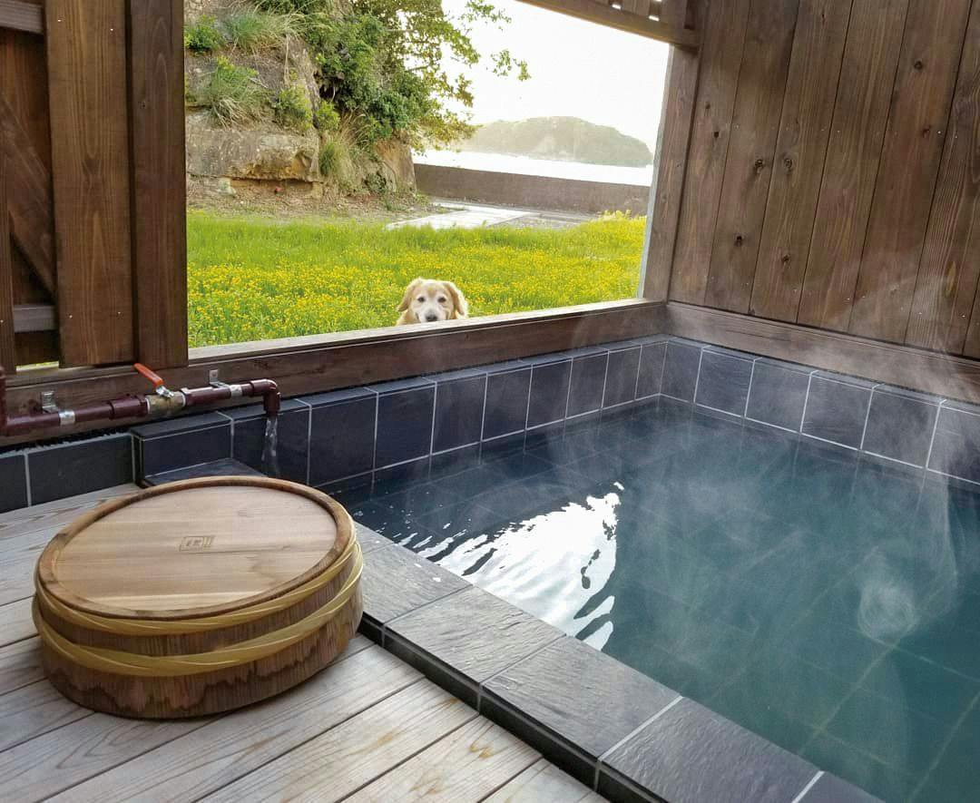 Manpaku Resort Vacation Villa [Pet-Friendly]