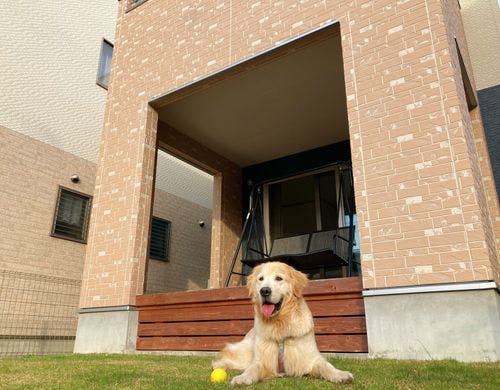 お客様のご厚意により掲載しております