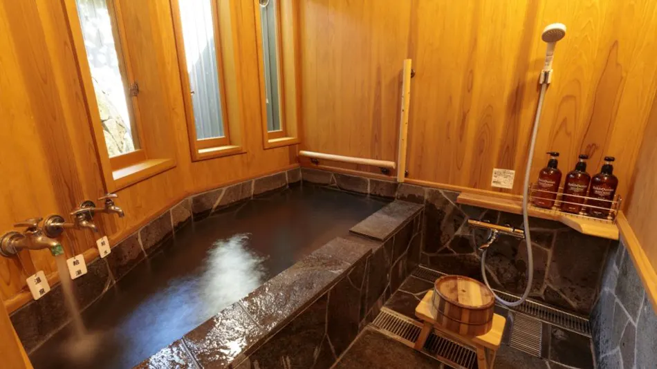 Natural Hot Spring Inn Choseian