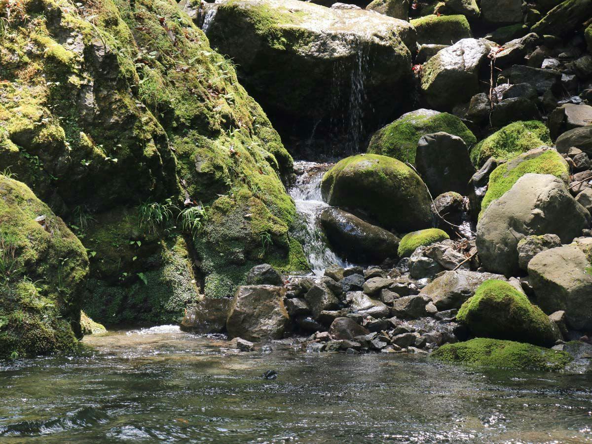 Hiroshige Inn: A Secluded Lodge to Enjoy the River and Mountains
