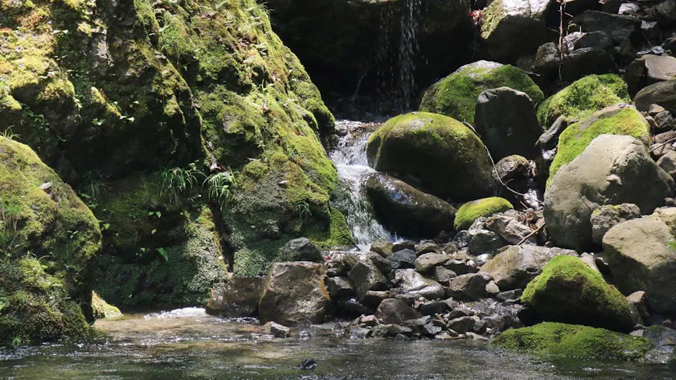Hiroshige Inn: A Secluded Lodge to Enjoy the River and Mountains
