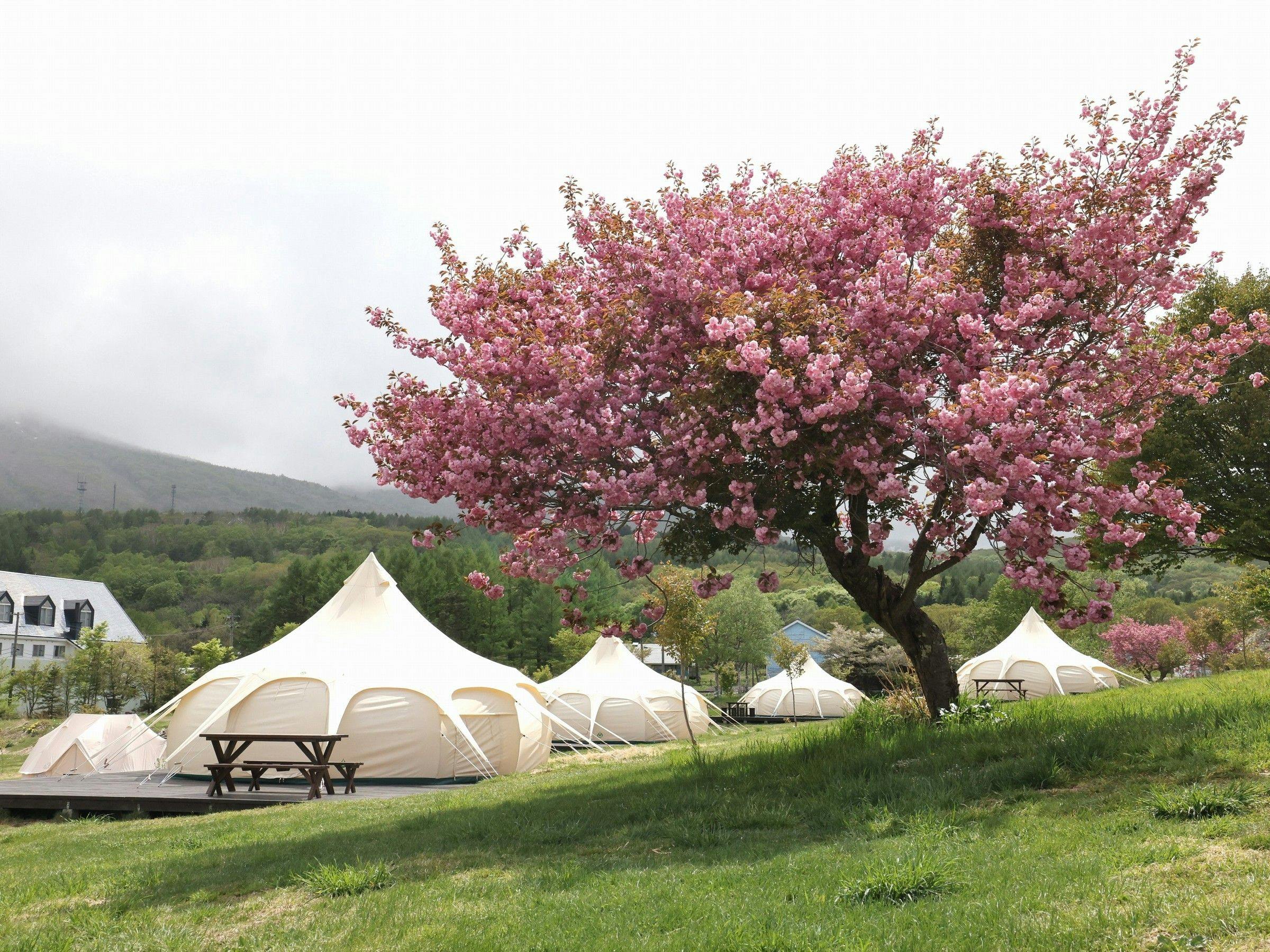 Appi no Mori Glamping