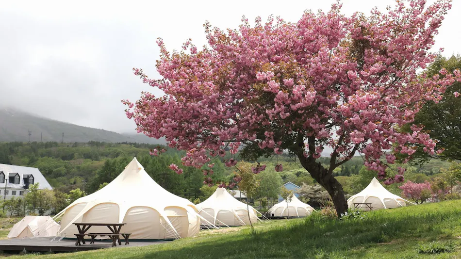 Appi no Mori Glamping