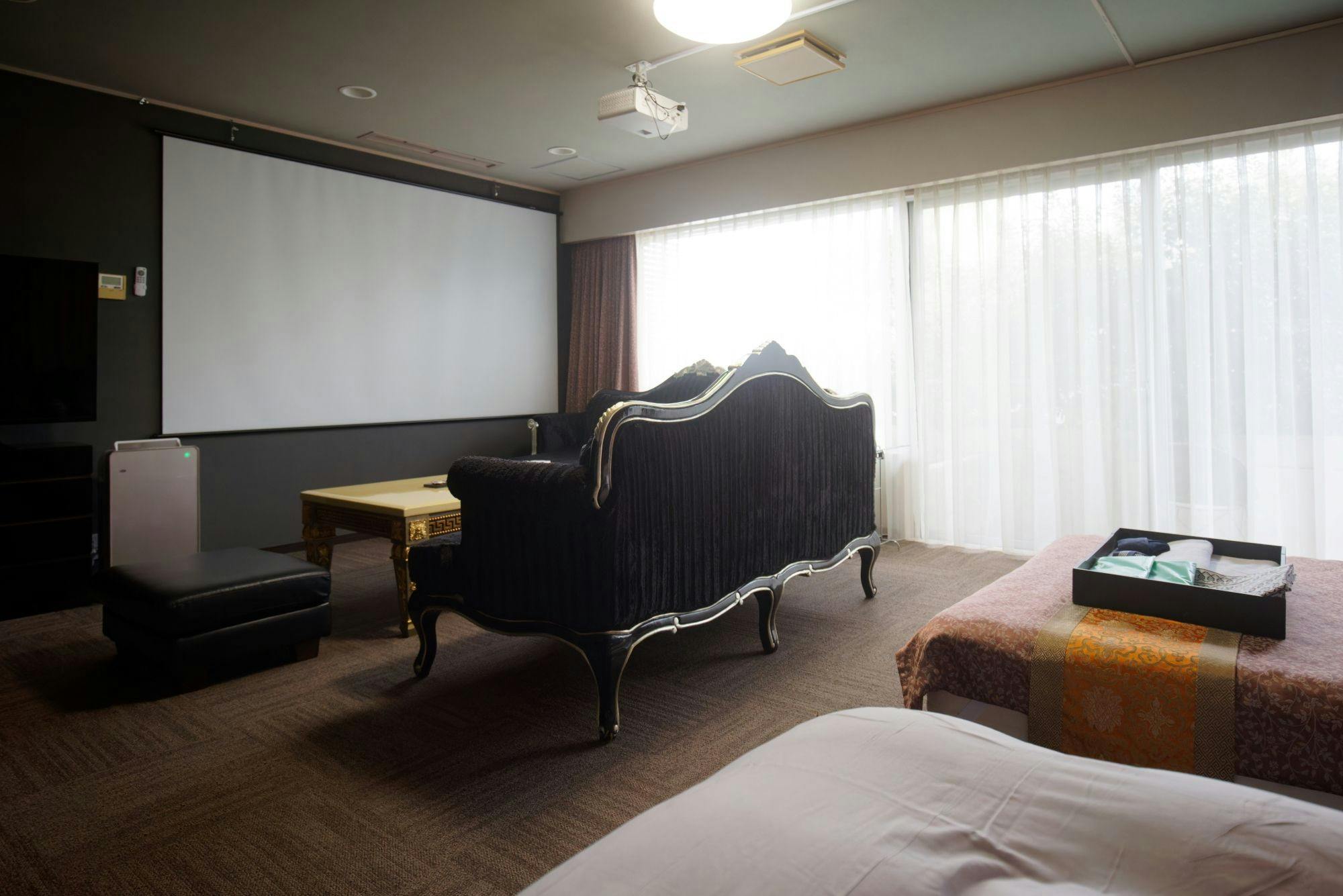 โซฟาและโปรเจคเตอร์