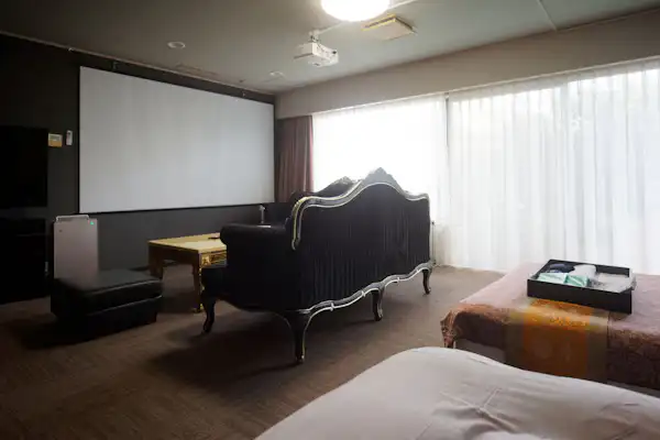 โซฟาและโปรเจคเตอร์