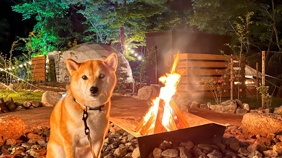 THE FIVE RIVERS FINE GLAMPING Gunma Shirasawa