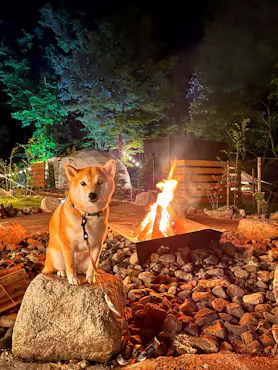 พื้นที่กองไฟส่วนกลาง