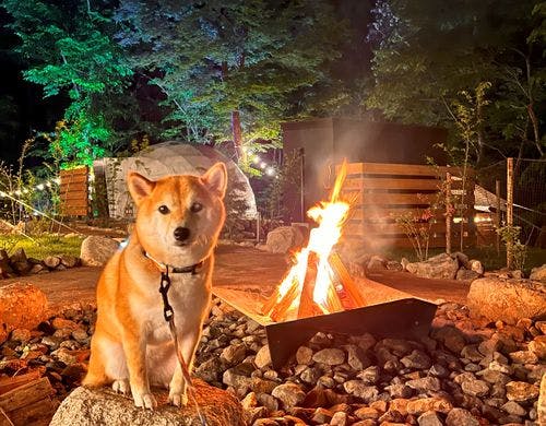 ファイヤーピット(共用焚き火スペース)