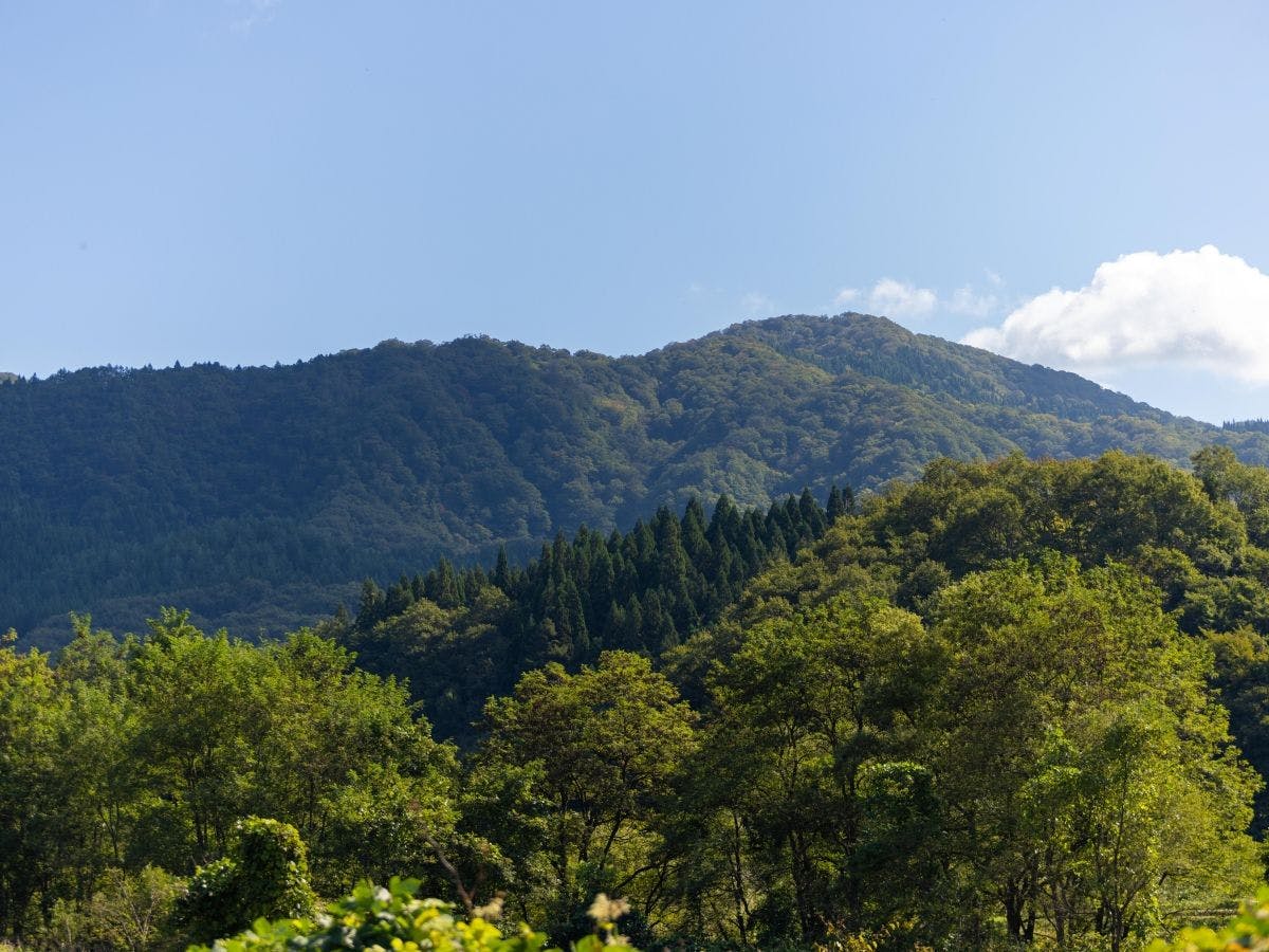 【ทัศนียภาพโดยรอบ】ป่าครอบคลุมพื้นที่ 80% ของเมือง