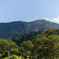 【ทัศนียภาพโดยรอบ】ป่าครอบคลุมพื้นที่ 80% ของเมือง