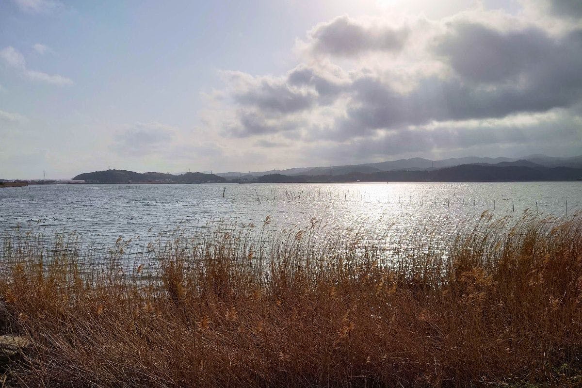 ทะเลสาบจินไซที่ถูกกล่าวถึงในอิซุโมะฟุโดกิในอดีต