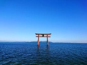 けしきのお宿　メタセコイアの森△